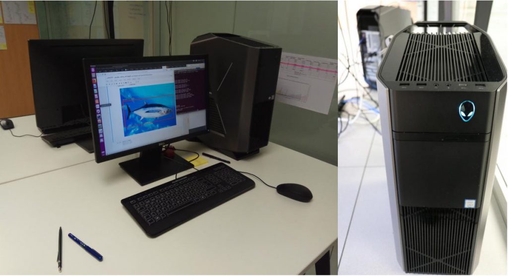 Deep Learning Environment/ Entorno Deep Learning